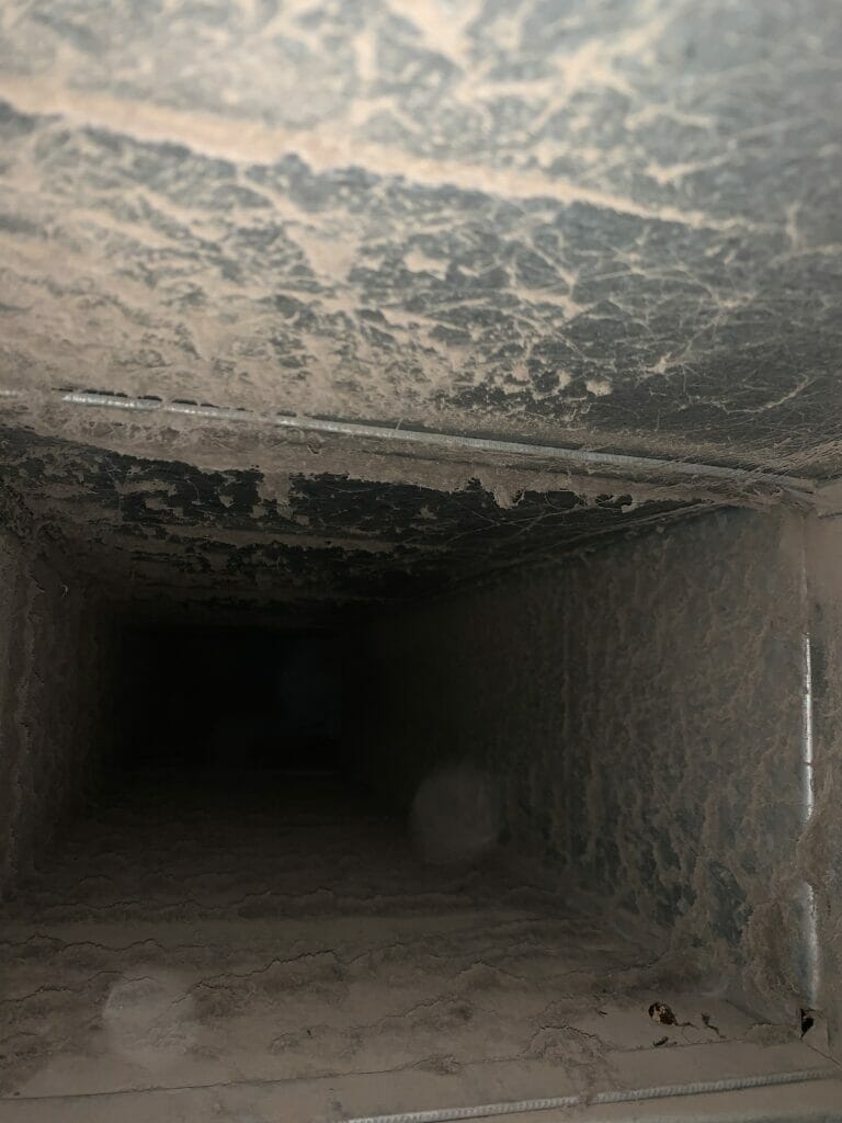 Amber's Air Duct Cleaning in Eaton Rapids MI